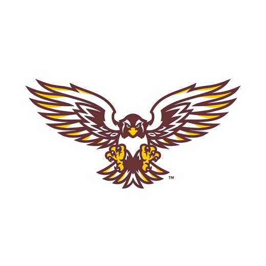 AJ Mackey Game Report: vs Monticello   How To Watch