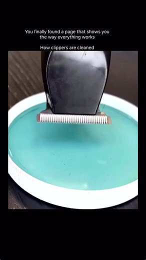 explain | To clean clippers effectively, follow these professional steps. First, completely detach the blade using a screwdriver to expose hidden... | Instagram