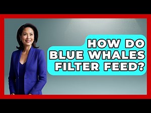 How Do Blue Whales Filter Feed? - Polar Regions Uncovered