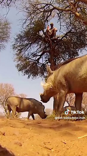 Tim Wells Bow Hunter on TikTok