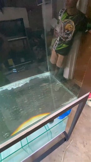 Aquariums tell stories that everyone interprets differently, what's your story? 🤔 Comment below your story and get a chance to win a 5 gallon Aquarium (16x8x10) Follow instructions below; 1. Follow our page. 2. React on this post. 3. Comment a story. 4. Share this post. 1 Lucky Winner will be decided via Wheel of names on October 29, 2025, 8:00PM Good luck mga boss.. Video for attention only! #tgfaquarium #quality #aquarium #aquariummaker #aquariumhobby #mondaymotivation #monday | The Good Fish