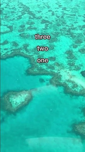 Heart Reef, Great Barrier Reef, QLD, Australia | #australia #gbr #whitsundays