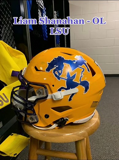 Helmet Decal Swaps - Custom Sticker Ideas for College Football Helmets