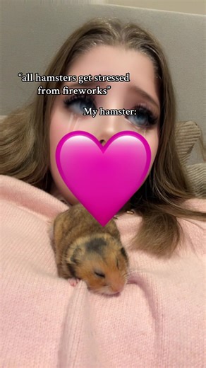 Hamsters and Fireworks: Understanding Their Fear