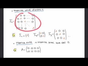 Calcul matriciel de base