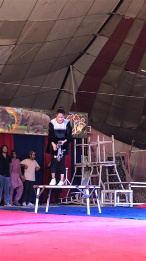 precious fankara 👑 ♥️ #foryou #unfreezemyacount #foryou #hojajazbati🏏 #hojajazbati🏏 #Dhoominternationalcircus🎪 #Dhoominternationalcircus🎪