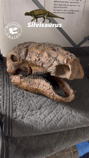 Meet Silvisaurus: The Kansas State Land Fossil