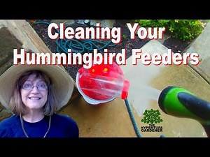 How To Clean Your Hummingbird Feeders - It's Important!