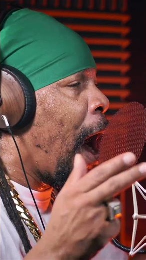 Turbulence - Dubplate - Little Lion Sound - Freestyle #reggae #rap