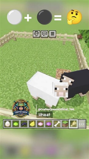 Minecraft Sheep 🐑 Mixing ⚫ Color ⚪