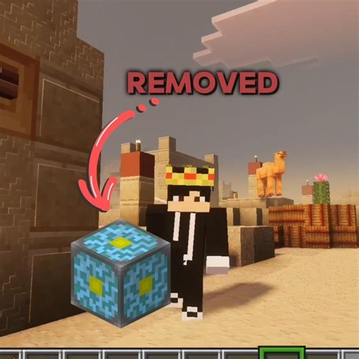Minecraft Removed Items 🤯 | @Voice.gaming | #Minecraft #MinecraftHindi