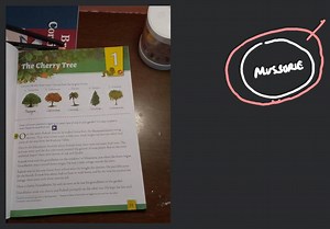 Cor iBrThe Cherry TreeCan you identify these trees? Choose f... | Filo