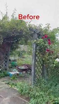 weeds Removed in Leeds UK 🇬🇧