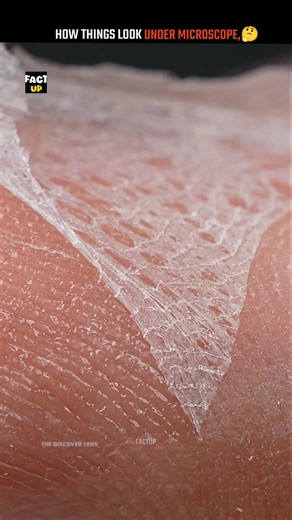 how Things Look Under The Microscope 🤔#shorts