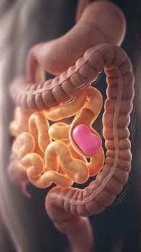 Swallowing Gum: Myth vs. Reality | What Happens in Your Body