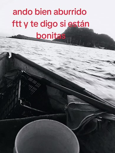 Calificación de Fotos FTT y Opiniones sobre TTS