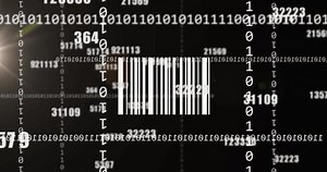 Animation Bar Code Binary Coding Data Stock Footage Video (100% Royalty-free) 1101021983 | Shutterstock
