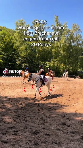 Pferd oder Pony? Einblicke ins Springreiten