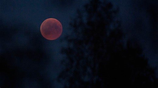 Månförmörkelse – så ser du udda fenomenet över Sverige