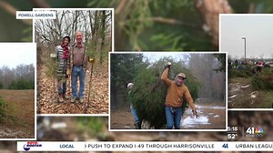 Families opt-in on eastern red cedars for Christmas to support prairie restoration