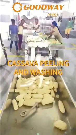 High efficient Cassava peeling and washing machine cassava peeling machine cassava peeler