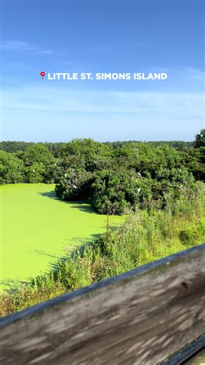 A privately landed barrier island with miles of undeveloped beach, marsh, maritime forest, and wildlife. Little St. Simons Island is a unique way to experience Georgia’s coast. 🍃