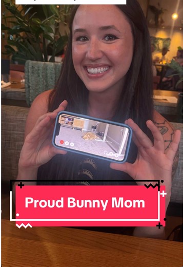 Gotta check the baby monitor!! #flemishgiantrabbit #freeroambunny | giant rabbit