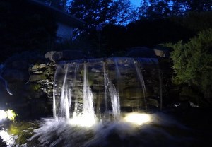 Underwater Pond Lights: What Works and What to Avoid - Premier Ponds
