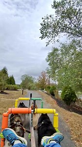 8K views · 106 reactions | Talking Sled Dog Commands on the Barnegat Branch Trail in NJ! #WooFDriverOnTour | WooFDriver | Facebook