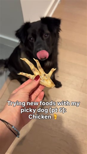 Mr Monty on Instagram: "don’t yuck my yum"