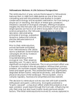Yellowstone Wolves - Life Science Worksheet for Sub-Plan or Classwork & Homework
