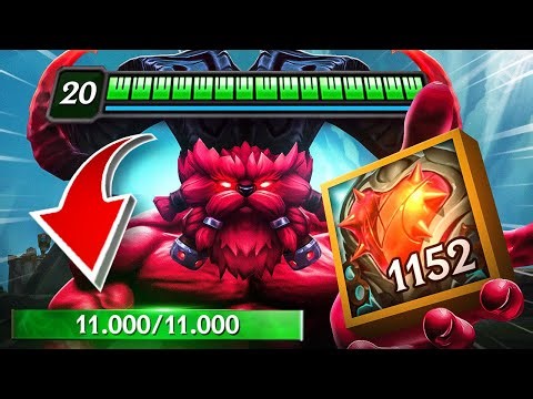 ORNN TOP EXODIA BUILD 🔨