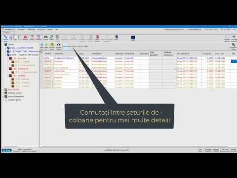 InterSOFT Deviz Profesional. Ofertare. Configurarea Proiectului