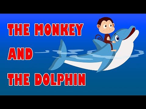 The Monkey & The Dolphin | Kilkariyan | English Stories | Bedtime Children Stories | Moral Stories