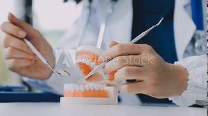 Dentist sitting at table with jaw samples tooth model and working with tablet and laptop in dental office professional dental clinic. medical doctor working