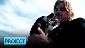 35K views · 261 reactions | What started as a solo circumnavigation for charity has ended miserably for one sailor and his canine sidekick. Shipwrecked, Willi Fantom isn’t down and out just yet and like all good sailors, he has an incredible tale to tell. #TheProjectTV | The Project | Facebook