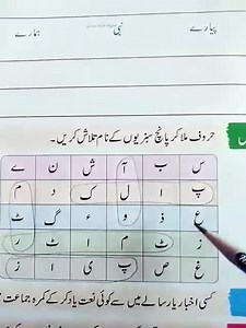 Future Vision School System on Reels