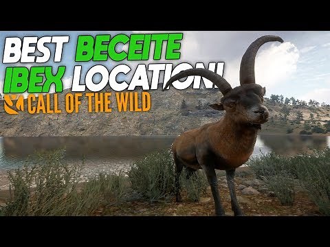 Best Beceite Ibex Location! | theHunter: Call Of The Wild