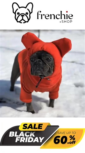 17 reactions |  BLACK FRIDAY IS HERE!  Up to 60% OFF Frenchie clothes — sweaters, jackets & accessories! Use code BFC25 for extra savings. Keep your pup warm & stylish  https://www.frenchie.shop/collections/french-bulldog-clothes | Frenchie Shop | Facebook