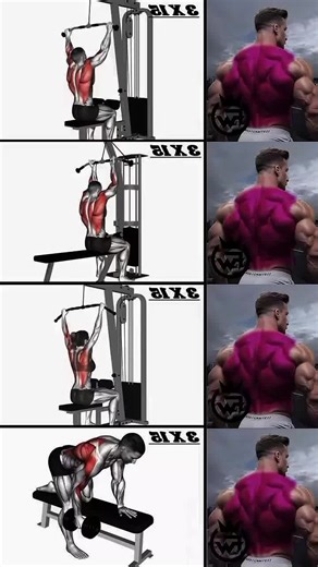 Beginner Back Workout Routine