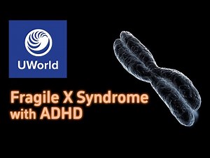 Fragile X Syndrome - symptoms/diagnosis - USMLE UWorld Step 1 Questions, MBBS, PLAB