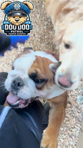 Quality Control Visit Surprise Nala and Spuds Go Crazy