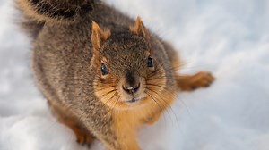 Getting started with Lightroom - Lightroom Video Tutorial | LinkedIn Learning, formerly Lynda.com