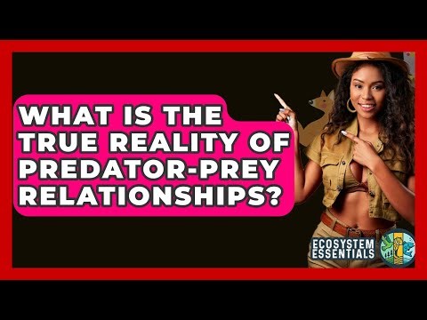What Is The True Reality Of Predator-prey Relationships? - Ecosystem Essentials
