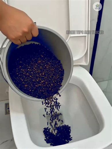 The Secret Plastic Bottle Hack for Cleaning Dust