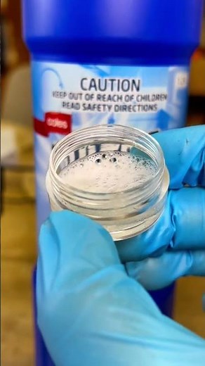 Bacteria VS Bleach under the microscope!