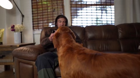 Yak Cheese Himalayan Dog Chews – Long-Lasting Natural Chews for Aggressive Chewers – 2-Ingredient, High Protein, Odorless, Dental Health Treats for Dogs (Large, 12 Pack)