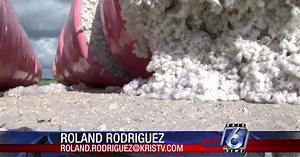 Local farmers grappling with plastic in their cotton