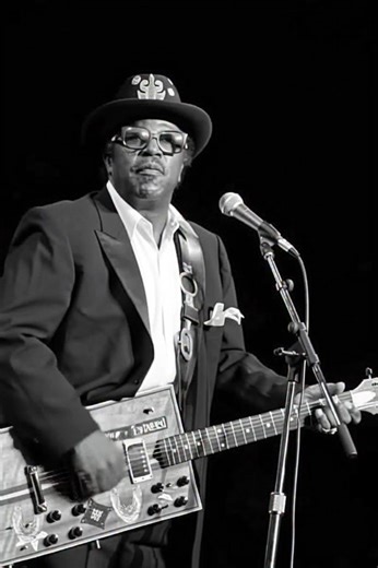 Bo Diddley performing at a John Lee Hooker Tribute concert at Madison Square Garden in New York City on October 16, 1990. | Delta Dust Blues