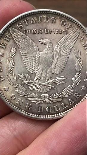 8 Tail Feathers Eagle on a Morgan Silver Dollar? RARE 8TF 1878 Morgan #morgandollar #silverdollar